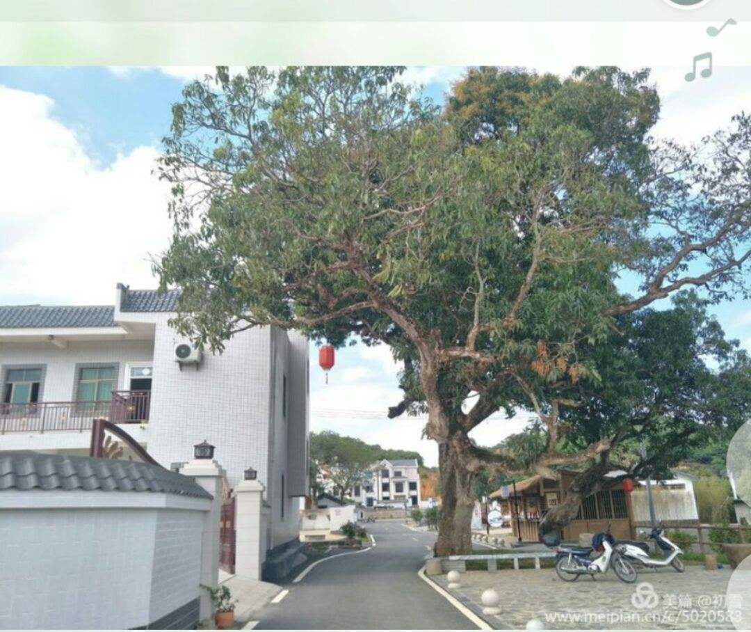 包含特色农村篮球运动示范点不断扩大，推动基层体育健康发展的词条