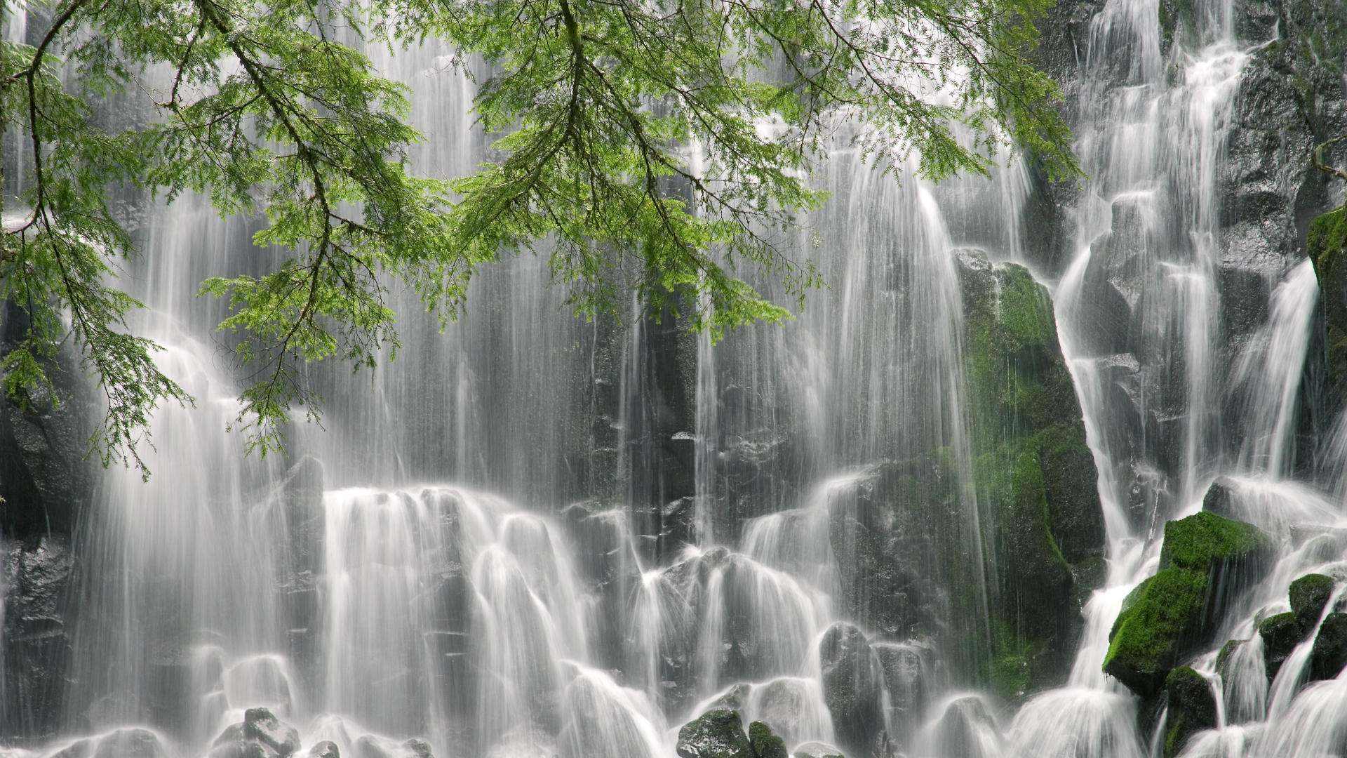 乐鱼体育登录-足球青训动画课程受低龄学生热捧，足球青训动画课程受低龄学生热捧吗