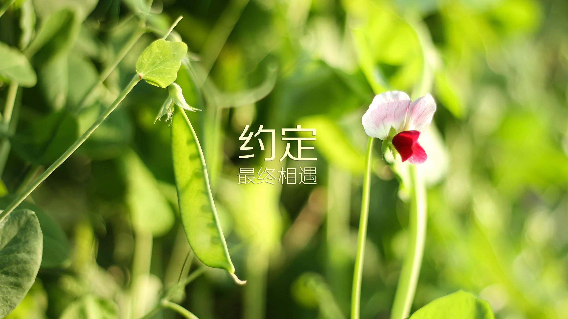 LEYU乐鱼体育官方网站-那不勒斯力克塞尔塔：双方困境不同，那不勒斯 位置