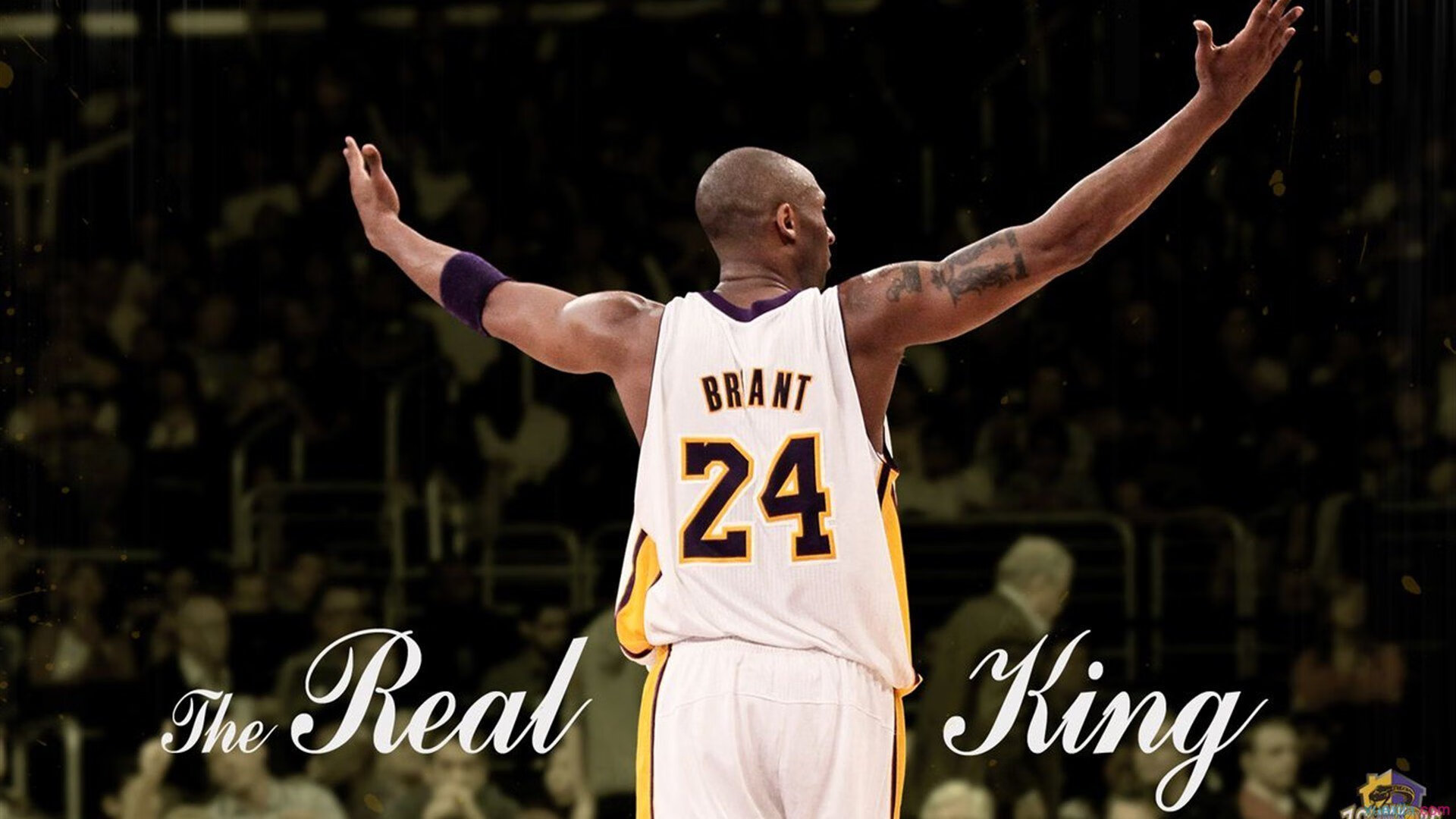 乐鱼体育平台app下载-萌新崛起!王者荣耀天梯开启新星争霸赛,王者天梯赛是什么