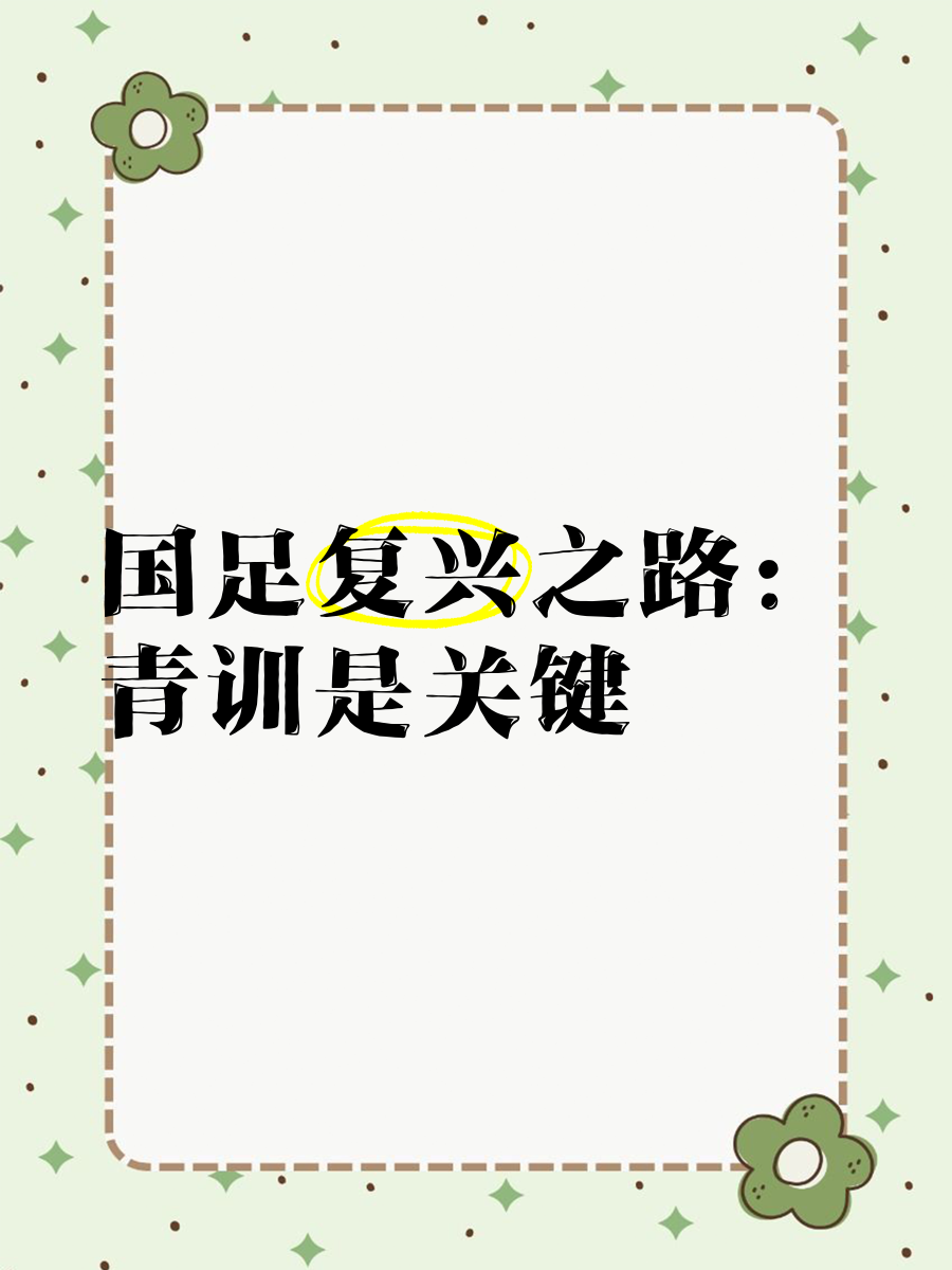 "对青训的关注：建立足球人才的基础"的简单介绍